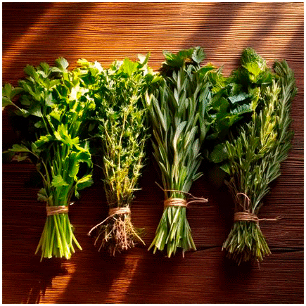 Aromatic Herbs Natural flavour Powder